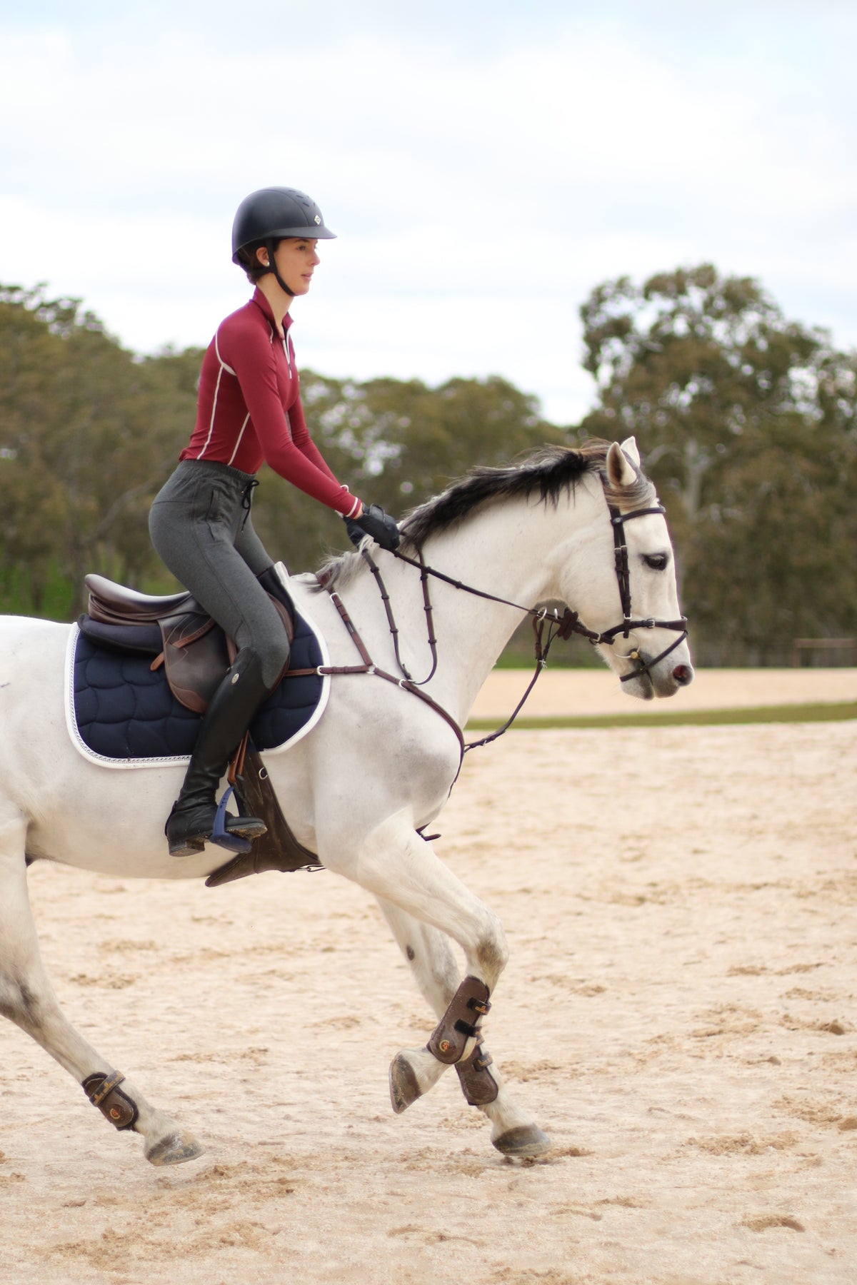 Silicon seat sweatpants in Dark Marle Grey – HLH EQUESTRIAN